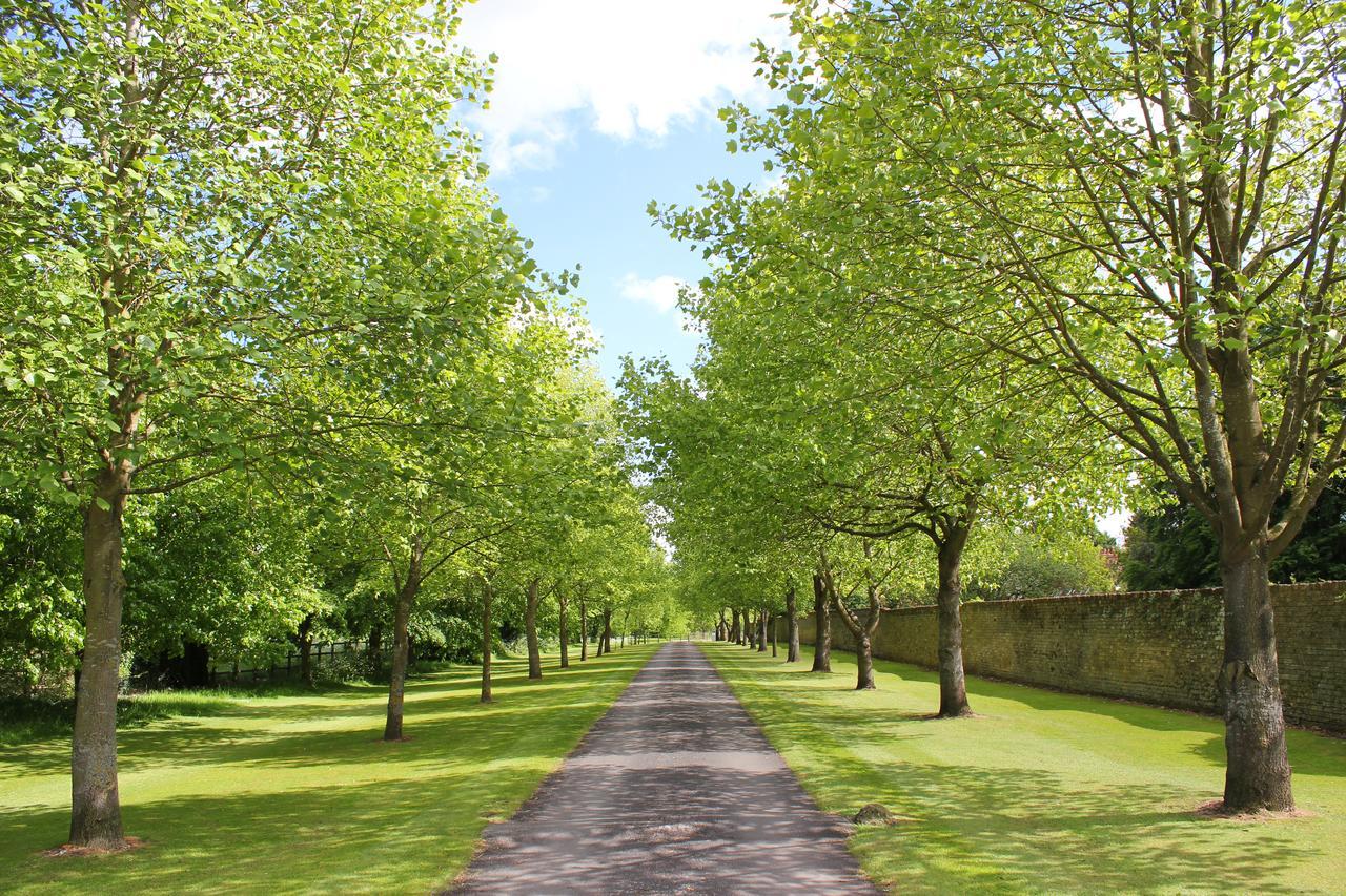 Chippenham Park Garden Rooms Bagian luar foto