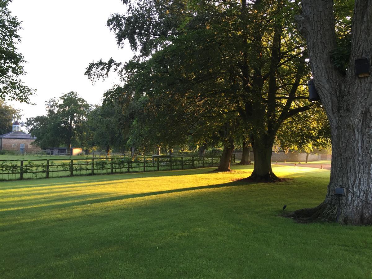 Chippenham Park Garden Rooms Bagian luar foto