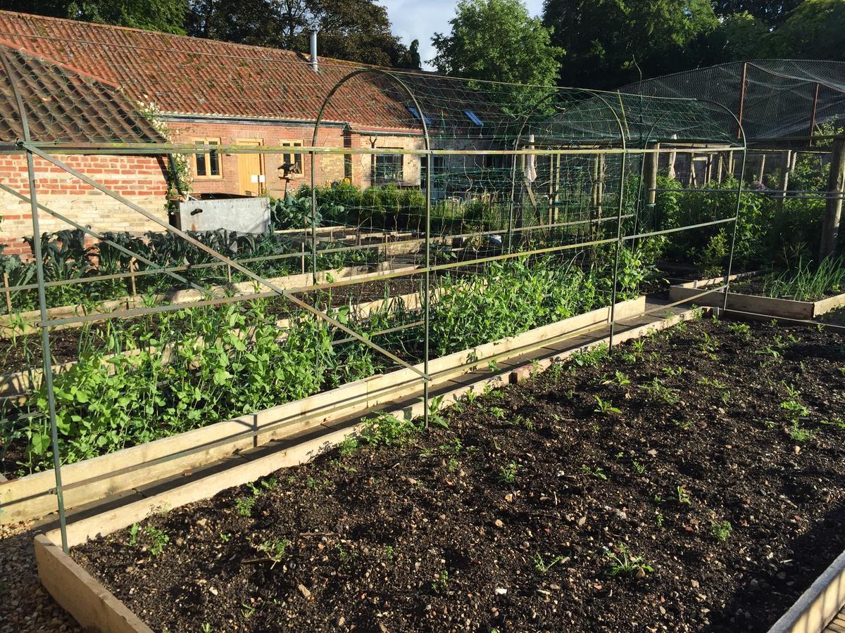 Chippenham Park Garden Rooms Bagian luar foto
